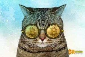 CoinGecko опубликовала отчет о криптовалютах за второй квартал 2019 | INFBusiness