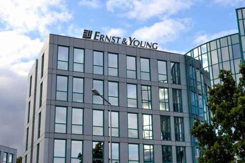 Консалтинговая компания Ernst & Young приобрела программное обеспечение для криптовалютных инвестиций | INFBusiness
