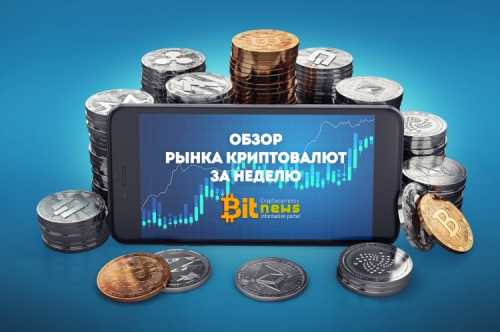 Анализ рынка криптовалют на 24.11.2019 | INFBusiness