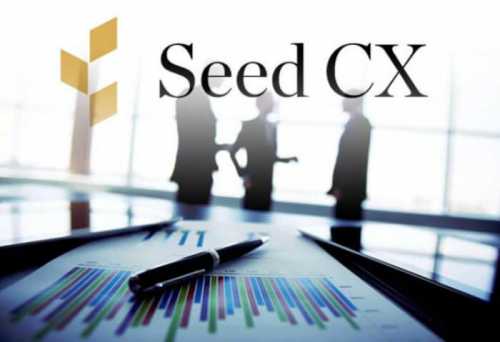 Крипто-биржа Seed CX открыла своим пользователям доступ к трем новым стейблкоинам | INFBusiness