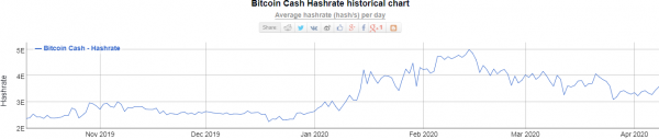Хешрейт Bitcoin Cash обвалился почти сразу после халвинга | INFBusiness